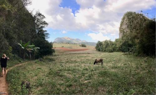 Valle Vinales