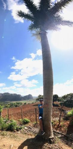 Valle Vinales