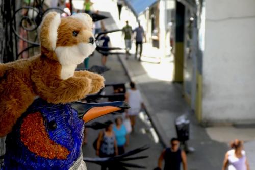 Monsieur Le Fox hat einen neuen Buddy
