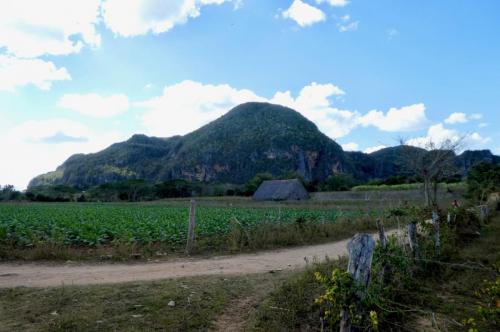 Valle Vinales