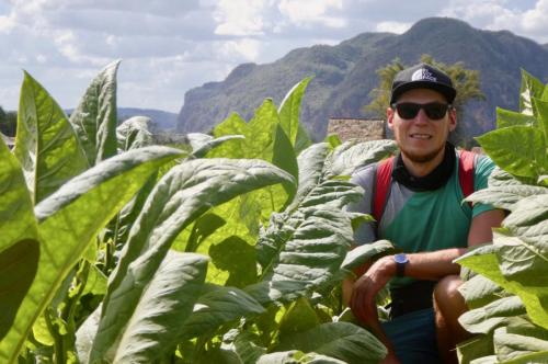 Valle Vinales - Tabakschnüffeln