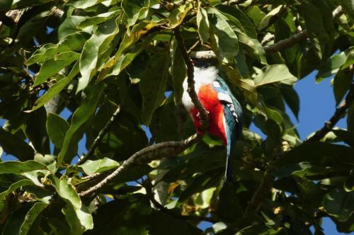 El Nicho Nationalpark