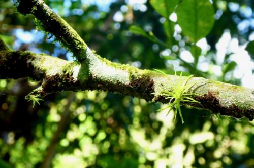El Nicho Nationalpark