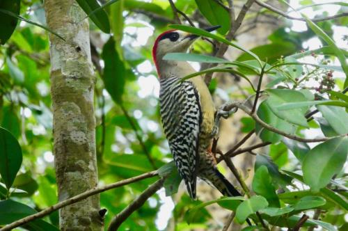 El Nicho Nationalpark