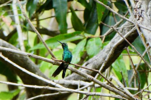 El Nicho Nationalpark