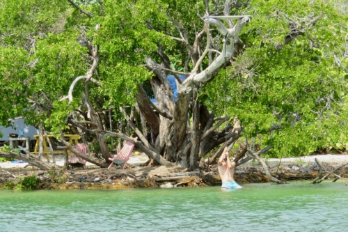 Jörnito bezwingt die Strömung und schwimmt zum Nordteil der Insel