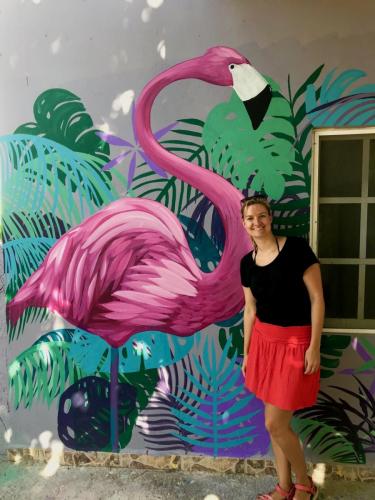 Zwei Flamingos