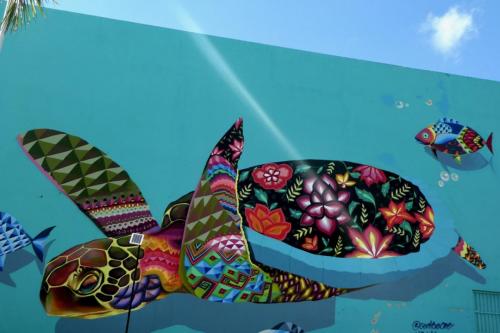 Schildi Grafitto