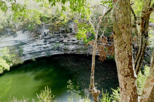 Cenote - hier wurden nicht wenige geopfert